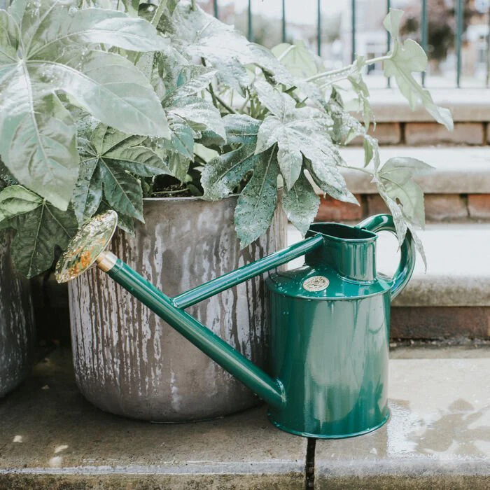 Gardening Gifts