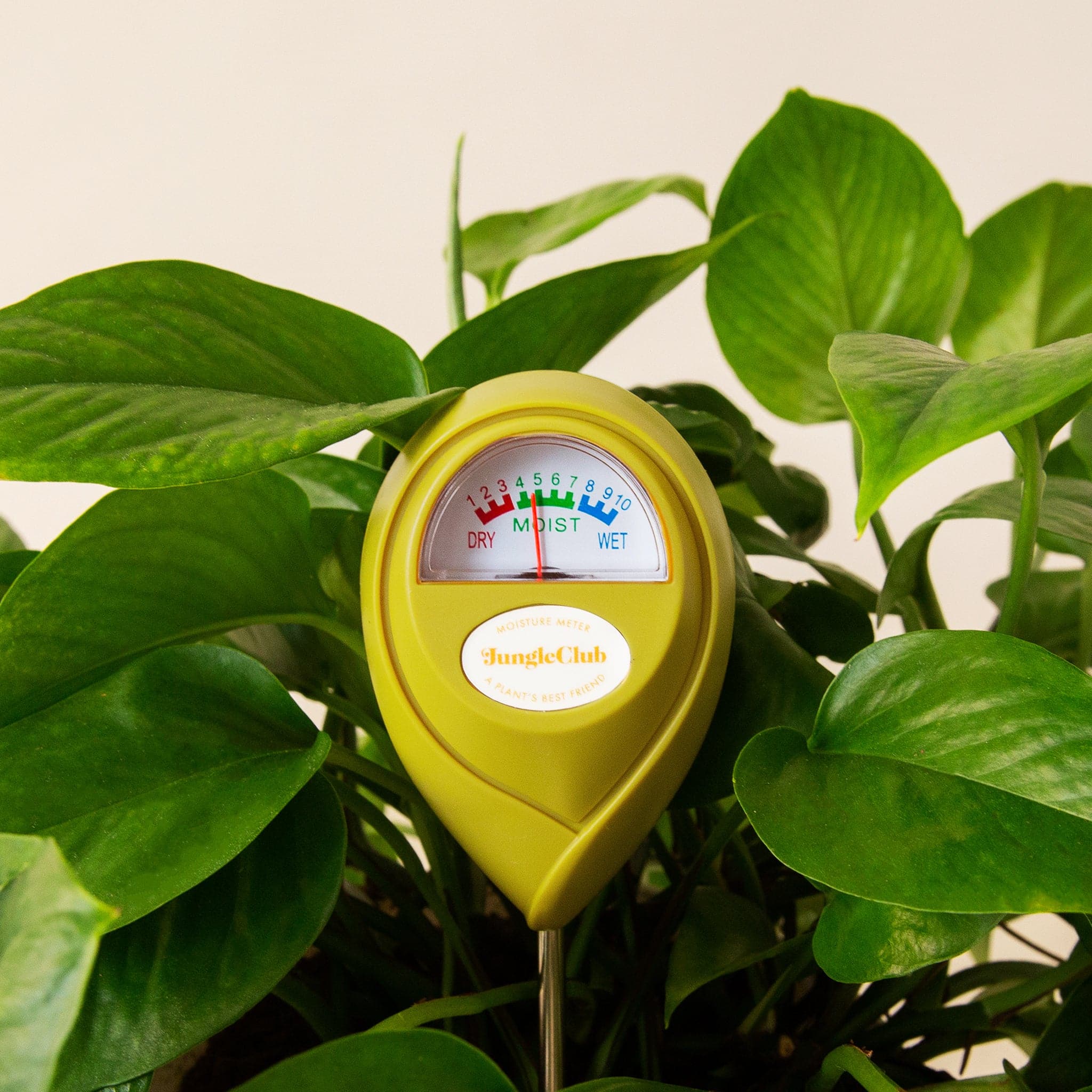 Watering and Plant Support
